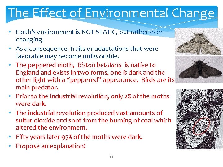 The Effect of Environmental Change • Earth’s environment is NOT STATIC, but rather ever