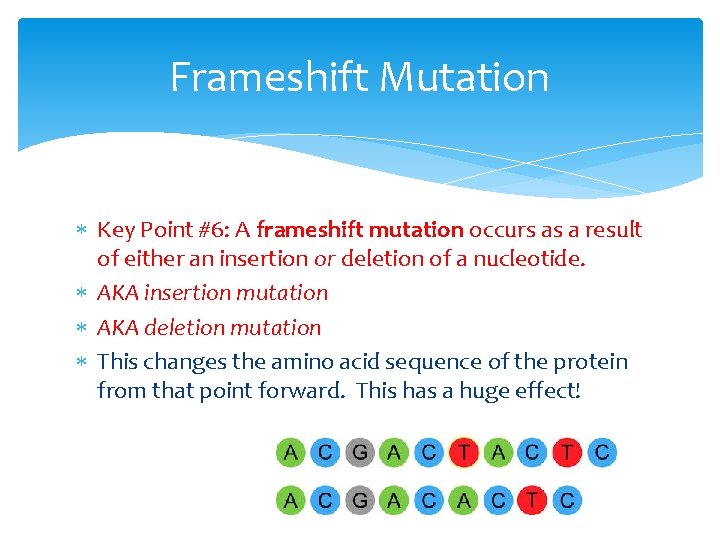 Frameshift Mutation Key Point #6: A frameshift mutation occurs as a result of either