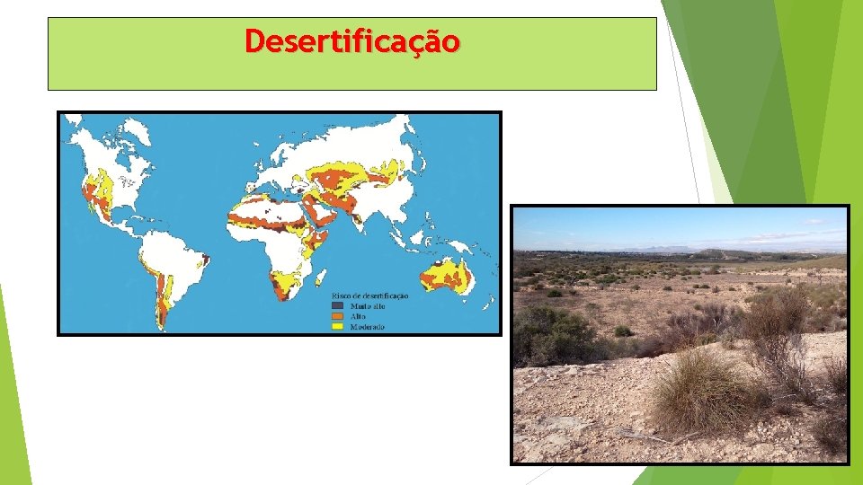 Desertificação 