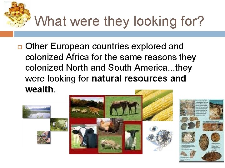 What were they looking for? Other European countries explored and colonized Africa for the