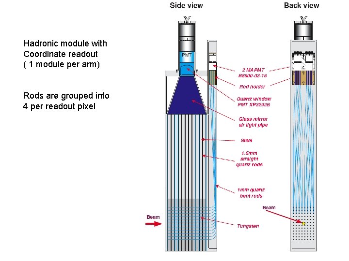 Hadronic module with Coordinate readout ( 1 module per arm) Rods are grouped into