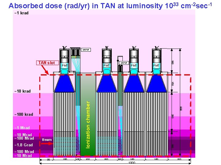 Absorbed dose (rad/yr) in TAN at luminosity 1033 cm-2 sec-1 ~1 krad MAPMT PMT