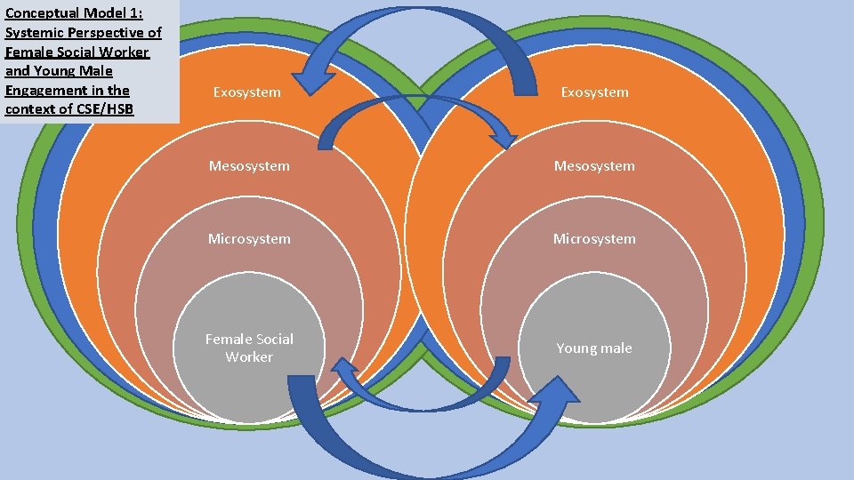 Conceptual Model 1: Systemic Perspective of Female Social Worker and Young Male Engagement in
