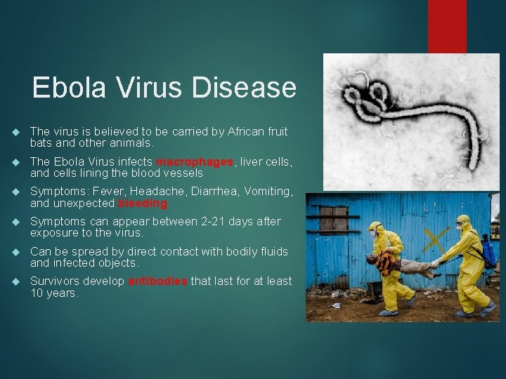 Ebola Virus Disease The virus is believed to be carried by African fruit bats