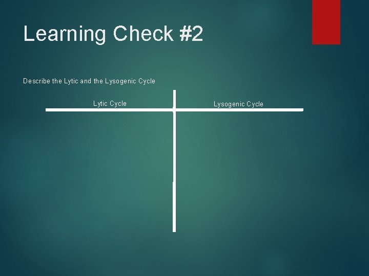 Learning Check #2 Describe the Lytic and the Lysogenic Cycle Lytic Cycle Lysogenic Cycle