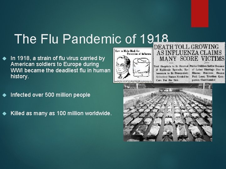 The Flu Pandemic of 1918 In 1918, a strain of flu virus carried by