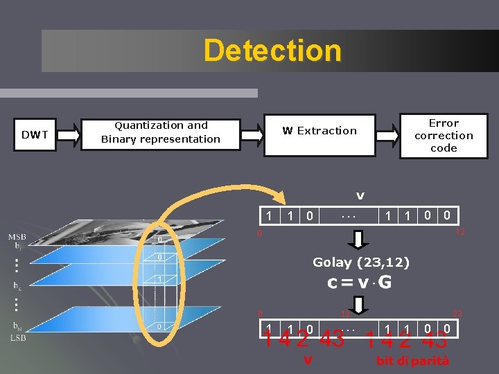 Detection DWT Quantization and Binary representation Error correction code W Extraction v 1 1