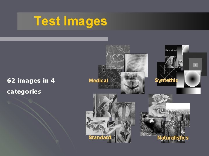 Test Images 62 images in 4 Medical Syntethic categories Standard Naturalistics 
