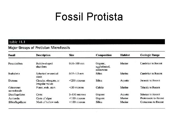 Fossil Protista 