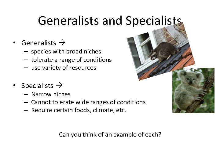 Generalists and Specialists • Generalists – species with broad niches – tolerate a range