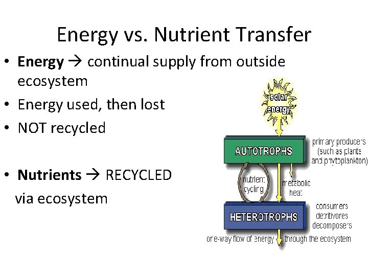 Energy vs. Nutrient Transfer • Energy continual supply from outside ecosystem • Energy used,