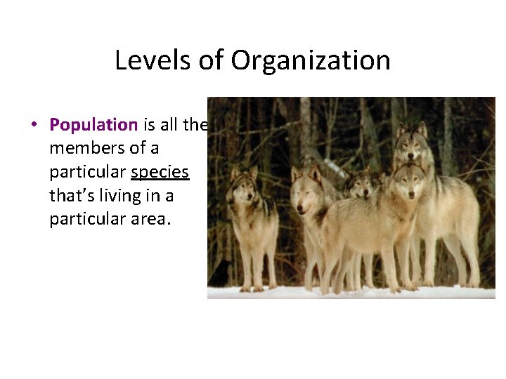 Levels of Organization • Population is all the members of a particular species that’s