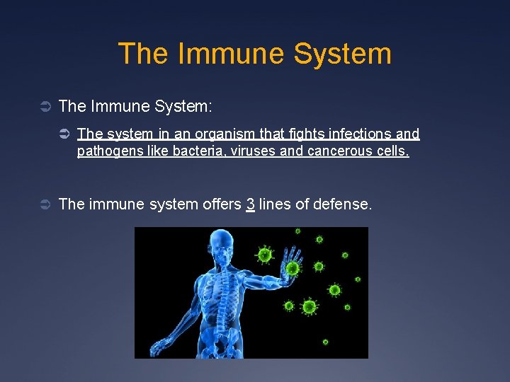 The Immune System Ü The Immune System: Ü The system in an organism that