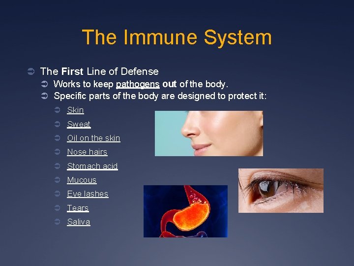 The Immune System Ü The First Line of Defense Ü Works to keep pathogens