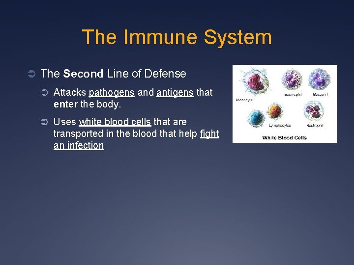 The Immune System Ü The Second Line of Defense Ü Attacks pathogens and antigens