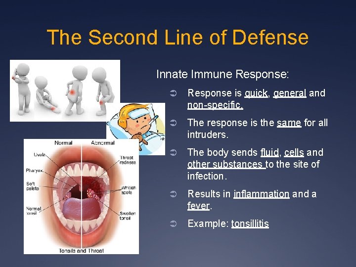 The Second Line of Defense Innate Immune Response: Ü Response is quick, general and