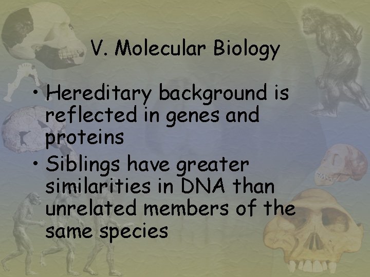 V. Molecular Biology • Hereditary background is reflected in genes and proteins • Siblings