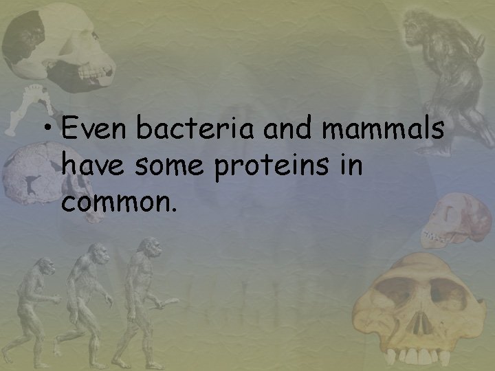  • Even bacteria and mammals have some proteins in common. 