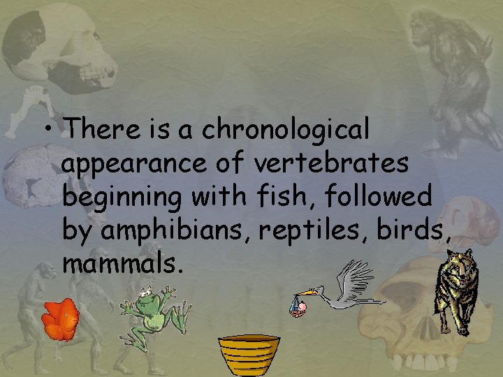  • There is a chronological appearance of vertebrates beginning with fish, followed by