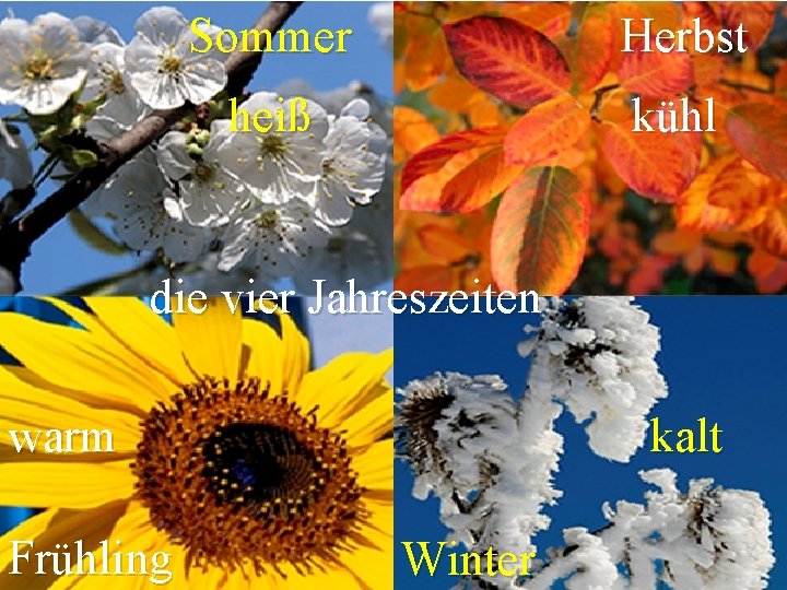 Sommer Herbst heiß kühl die vier Jahreszeiten warm Frühling kalt Winter 