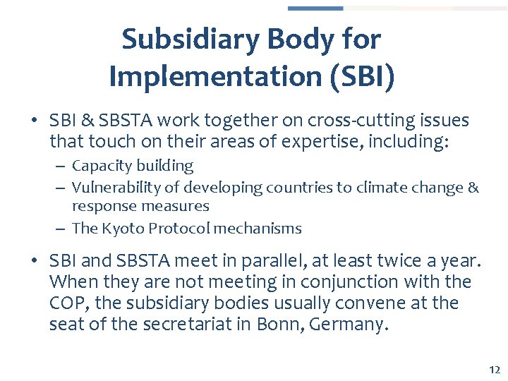 Subsidiary Body for Implementation (SBI) • SBI & SBSTA work together on cross-cutting issues