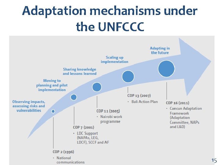 Adaptation mechanisms under the UNFCCC 15 
