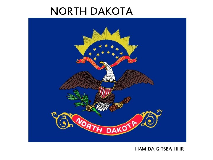 NORTH DAKOTA HAMIDA GITSBA, III IR 