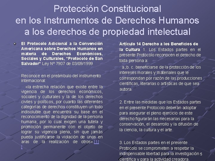 Protección Constitucional en los Instrumentos de Derechos Humanos a los derechos de propiedad intelectual