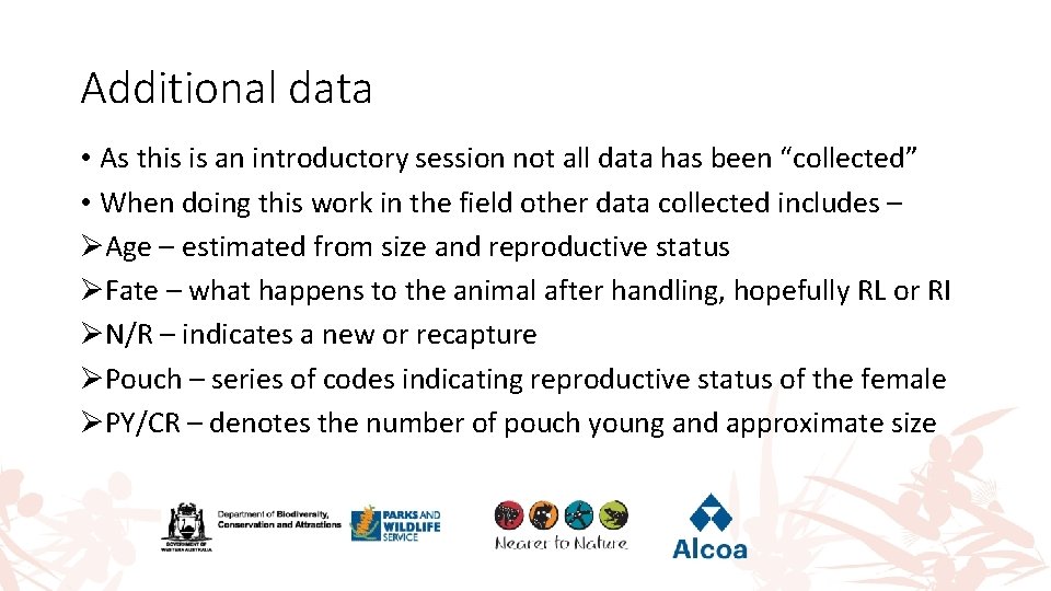 Additional data • As this is an introductory session not all data has been