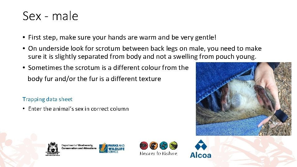 Sex - male • First step, make sure your hands are warm and be