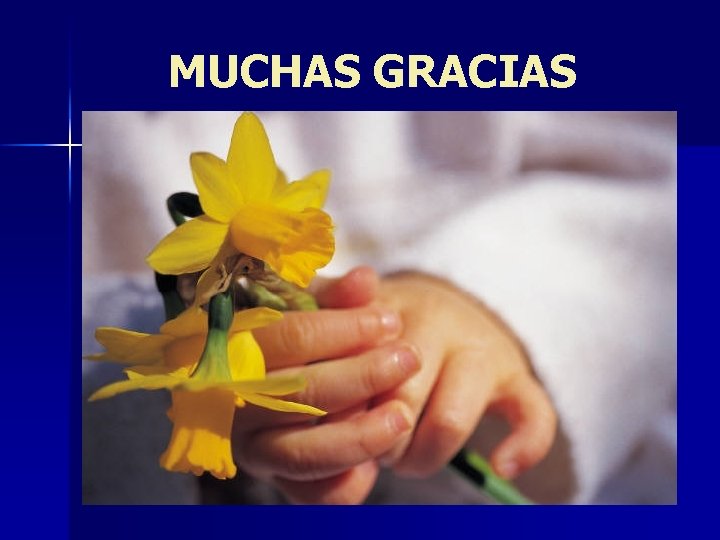 MUCHAS GRACIAS 