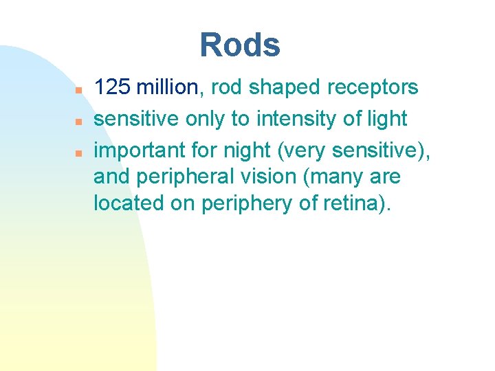 Rods n n n 125 million, rod shaped receptors sensitive only to intensity of