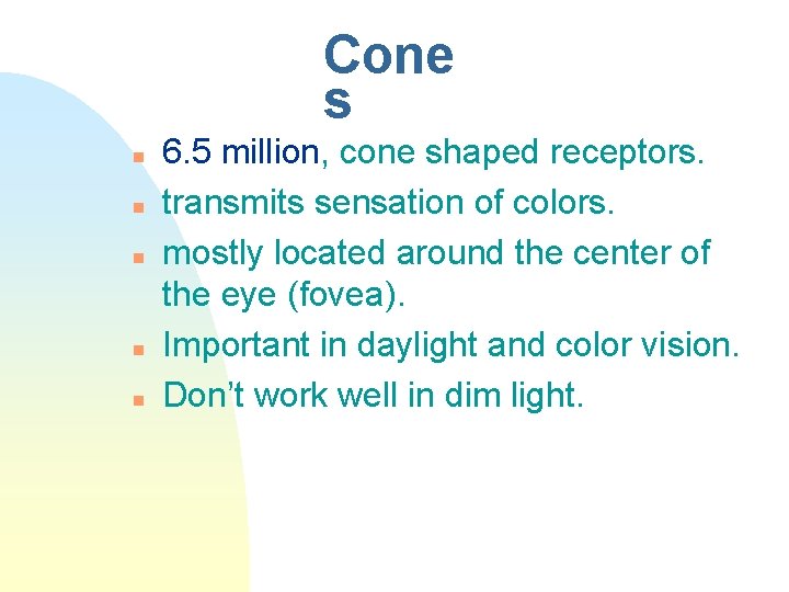 Cone s n n n 6. 5 million, cone shaped receptors. transmits sensation of