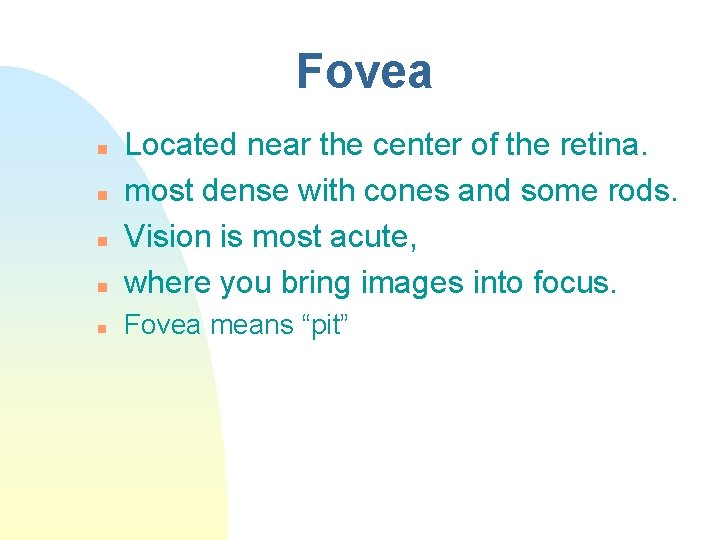 Fovea n Located near the center of the retina. most dense with cones and