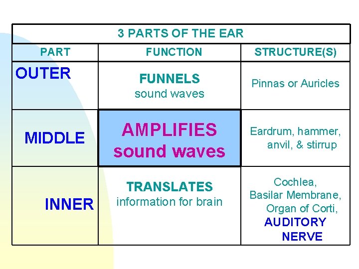 3 PARTS OF THE EAR PART FUNCTION STRUCTURE(S) OUTER FUNNELS Pinnas or Auricles sound