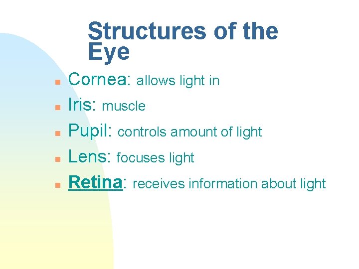 Structures of the Eye n n n Cornea: allows light in Iris: muscle Pupil: