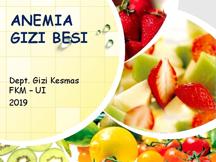 ANEMIA GIZI BESI Dept. Gizi Kesmas FKM – UI 2019 