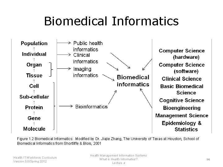 Biomedical Informatics Figure 1. 2 Biomedical Informatics: Modified by Dr. Jiajie Zhang, The University