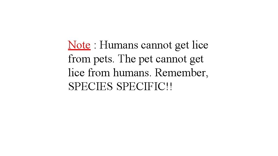 Note : Humans cannot get lice from pets. The pet cannot get lice from