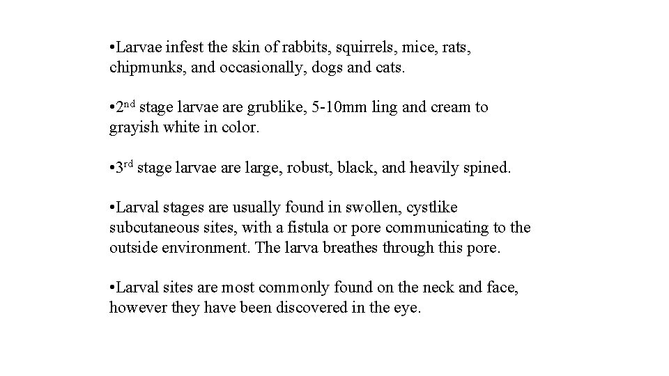  • Larvae infest the skin of rabbits, squirrels, mice, rats, chipmunks, and occasionally,