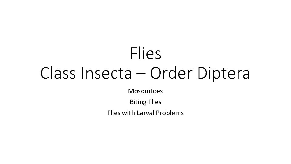 Flies Class Insecta – Order Diptera Mosquitoes Biting Flies with Larval Problems 