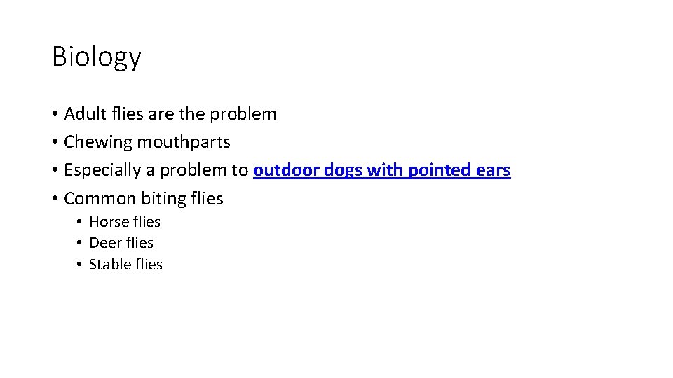 Biology • Adult flies are the problem • Chewing mouthparts • Especially a problem