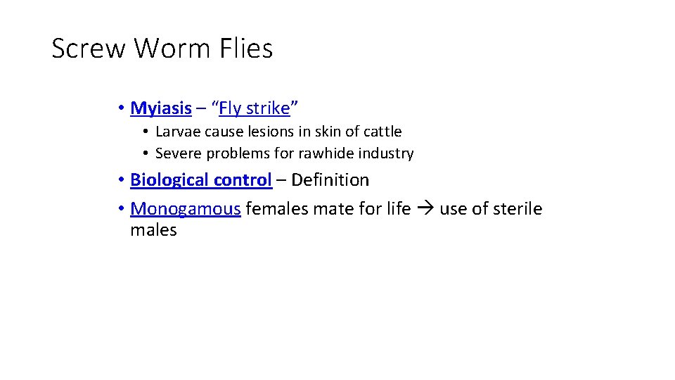 Screw Worm Flies • Myiasis – “Fly strike” • Larvae cause lesions in skin