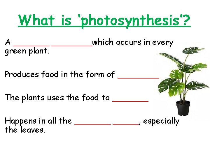 What is ‘photosynthesis’? A ________which occurs in every green plant. Produces food in the