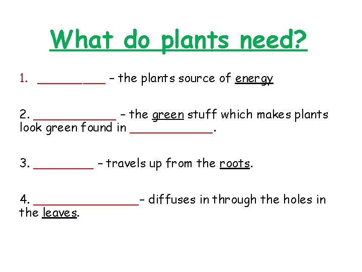 What do plants need? 1. _____ – the plants source of energy 2. ______