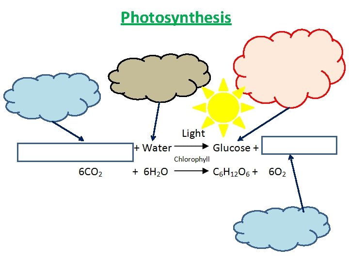 Photosynthesis 