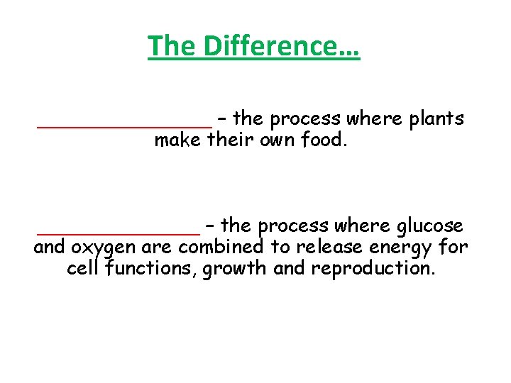The Difference… _______ – the process where plants make their own food. _______ –