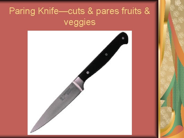 Paring Knife—cuts & pares fruits & veggies Paring Knife—cuts & pares fruits & veggies