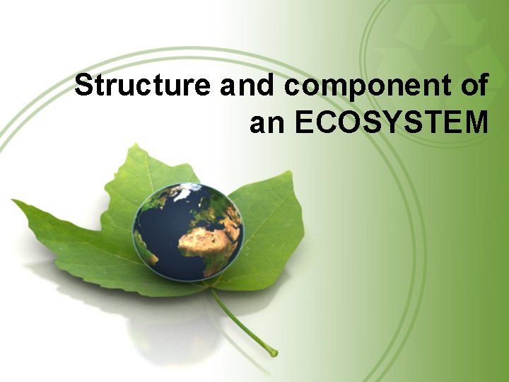 Structure and component of an ECOSYSTEM 