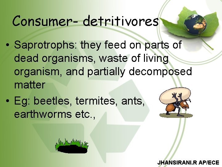 Consumer- detritivores • Saprotrophs: they feed on parts of dead organisms, waste of living